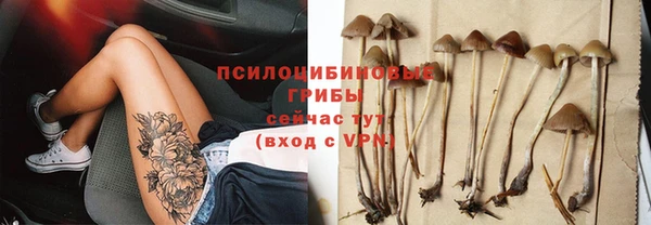 дурь Новодвинск