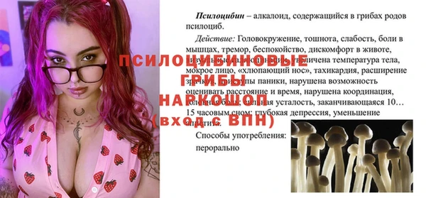мяу мяу мука Новозыбков