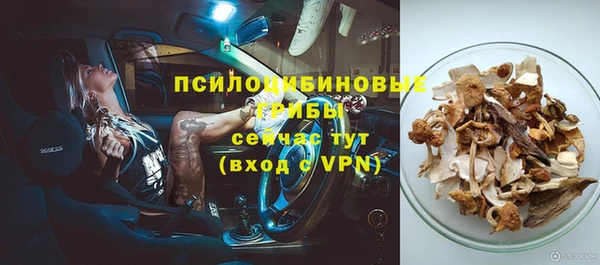 2c-b Новокубанск
