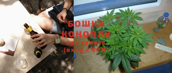 дурь Новодвинск