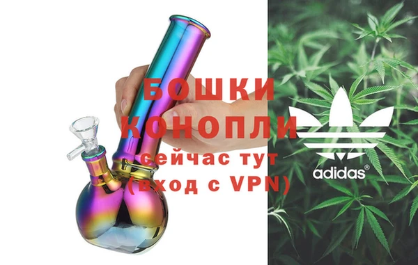 дурь Новодвинск